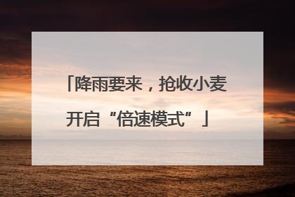 降雨要来，抢收小麦开启“倍速模式”