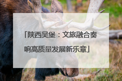 陕西吴堡：文旅融合奏响高质量发展新乐章