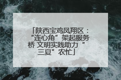 陕西宝鸡凤翔区：“连心角”架起服务桥 文明实践助力“三夏”农忙