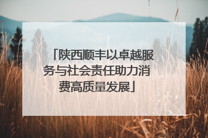 陕西顺丰以卓越服务与社会责任助力消费高质量发展