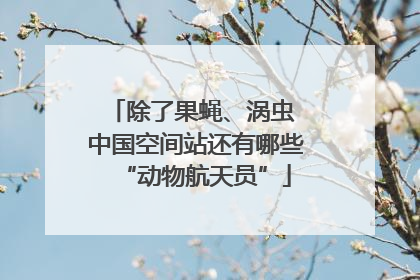 除了果蝇、涡虫 中国空间站还有哪些“动物航天员”