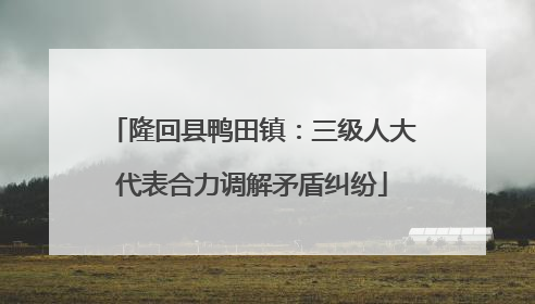 隆回县鸭田镇：三级人大代表合力调解矛盾纠纷