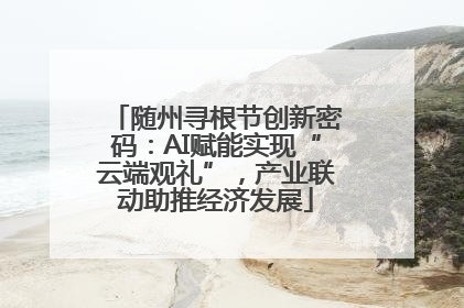 随州寻根节创新密码：AI赋能实现“云端观礼”，产业联动助推经济发展
