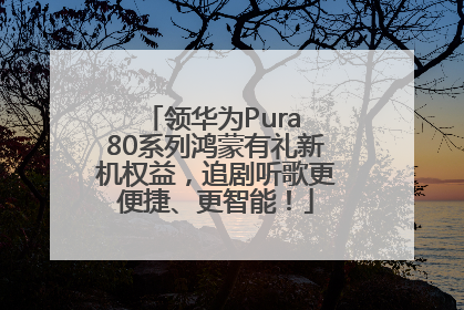 领华为Pura 80系列鸿蒙有礼新机权益，追剧听歌更便捷、更智能！