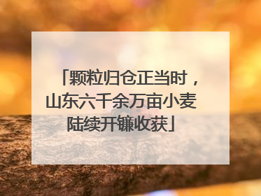 颗粒归仓正当时，山东六千余万亩小麦陆续开镰收获