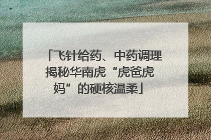 飞针给药、中药调理 揭秘华南虎“虎爸虎妈”的硬核温柔