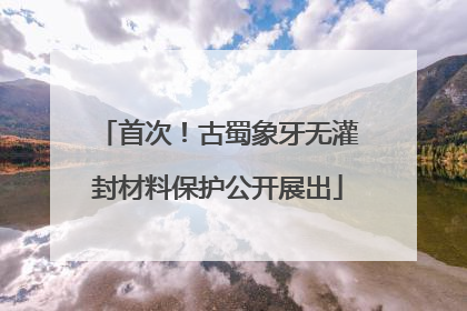 首次！古蜀象牙无灌封材料保护公开展出