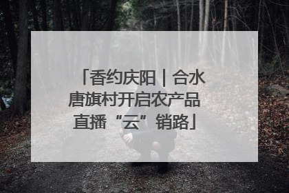 香约庆阳｜合水唐旗村开启农产品直播“云”销路