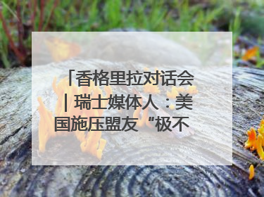 香格里拉对话会｜瑞士媒体人：美国施压盟友“极不理性” 欧洲国家无意与中国“脱钩断链”