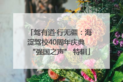 驾有道·行无疆：海淀驾校40周年庆典 “强国之声” 特辑