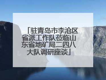 驻青岛市李沧区省派工作队莅临山东省地矿局二四八大队调研座谈