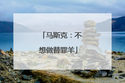 马斯克：不想做替罪羊