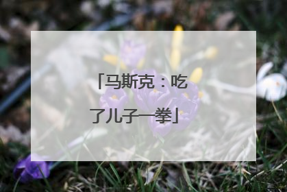 马斯克：吃了儿子一拳