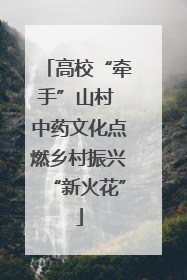 高校“牵手”山村 中药文化点燃乡村振兴“新火花”