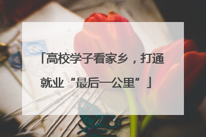 高校学子看家乡，打通就业“最后一公里”