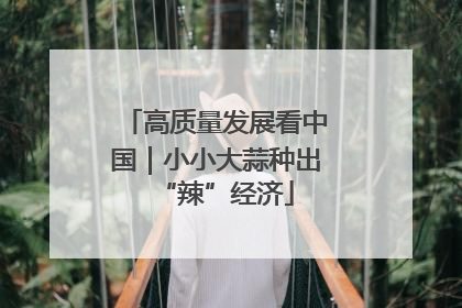 高质量发展看中国｜小小大蒜种出“辣”经济