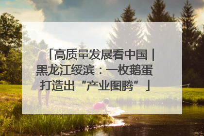 高质量发展看中国｜黑龙江绥滨：一枚鹅蛋打造出“产业图腾”