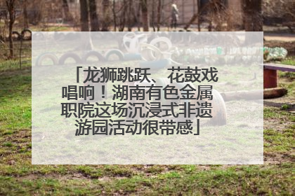 龙狮跳跃、花鼓戏唱响！湖南有色金属职院这场沉浸式非遗游园活动很带感