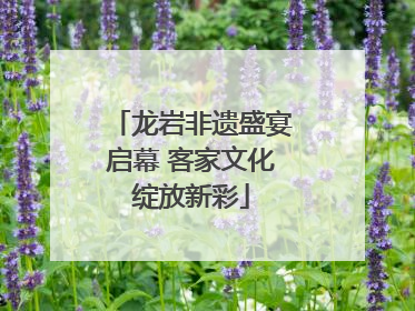 龙岩非遗盛宴启幕 客家文化绽放新彩