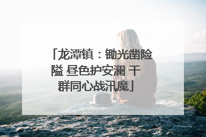 龙潭镇：锄光凿险隘 昼色护安澜 干群同心战汛魔