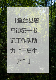 鱼台县唐马镇第一书记工作队助力“三夏生产”