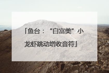 鱼台：“白富美”小龙虾跳动增收音符