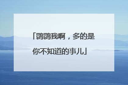 鹮鹮我啊，多的是你不知道的事儿