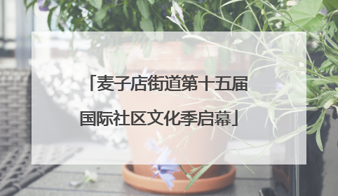 麦子店街道第十五届国际社区文化季启幕