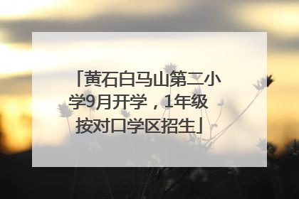 黄石白马山第二小学9月开学，1年级按对口学区招生