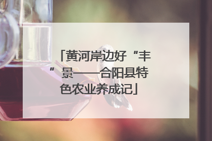 黄河岸边好“丰”景——合阳县特色农业养成记
