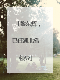 黎东辉，已任湖北省领导