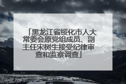 黑龙江省绥化市人大常委会原党组成员、副主任宋树生接受纪律审查和监察调查
