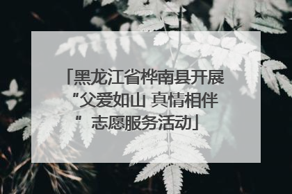 黑龙江省桦南县开展“父爱如山 真情相伴”志愿服务活动