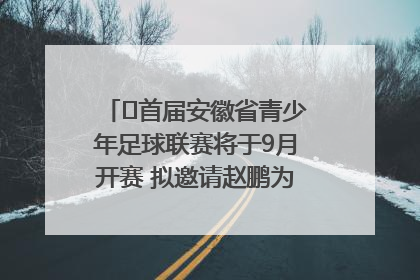 ﻿首届安徽省青少年足球联赛将于9月开赛 拟邀请赵鹏为先导赛开球