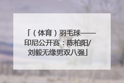 （体育）羽毛球——印尼公开赛：陈柏阳/刘毅无缘男双八强