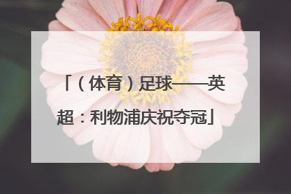 （体育）足球——英超：利物浦庆祝夺冠