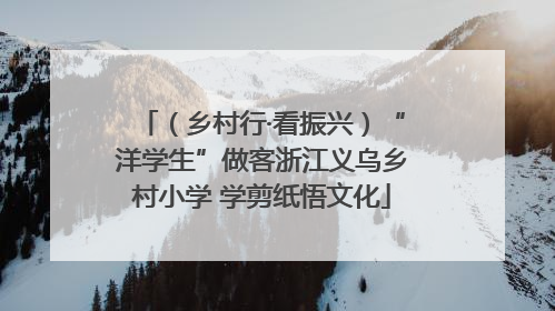 （乡村行·看振兴）“洋学生”做客浙江义乌乡村小学 学剪纸悟文化