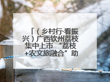 （乡村行·看振兴）广西钦州荔枝集中上市 “荔枝+农文旅融合”助农增收