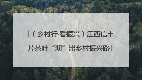 （乡村行·看振兴）江西信丰一片茶叶“沏”出乡村振兴路