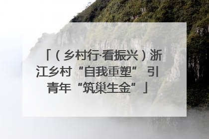 （乡村行·看振兴）浙江乡村“自我重塑” 引青年“筑巢生金”