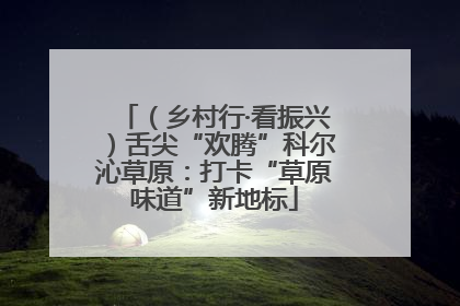（乡村行·看振兴）舌尖“欢腾”科尔沁草原：打卡“草原味道”新地标