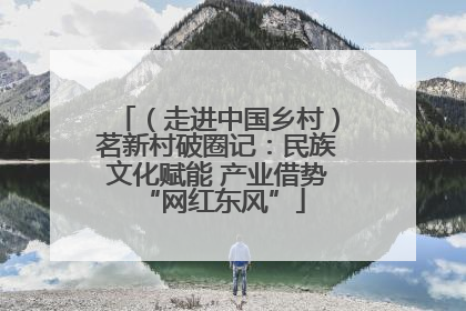（走进中国乡村）茗新村破圈记：民族文化赋能 产业借势 “网红东风”