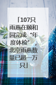 107只雨燕在颐和园完成“年度体检”，北京雨燕数量已超一万只