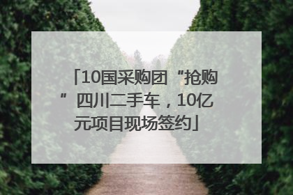 10国采购团“抢购”四川二手车，10亿元项目现场签约