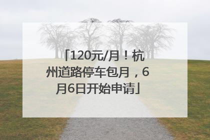 120元/月！杭州道路停车包月，6月6日开始申请