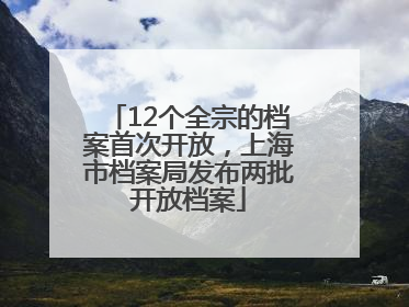 12个全宗的档案首次开放，上海市档案局发布两批开放档案