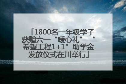 1800名一年级学子获赠六一“暖心礼” “希望工程1+1”助学金发放仪式在川举行