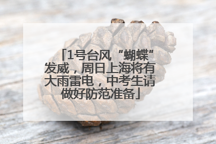 1号台风“蝴蝶”发威，周日上海将有大雨雷电，中考生请做好防范准备