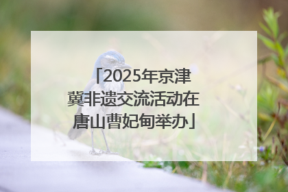 2025年京津冀非遗交流活动在唐山曹妃甸举办