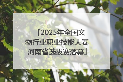 2025年全国文物行业职业技能大赛河南省选拔赛落幕
